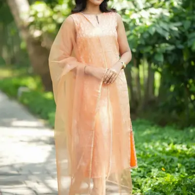 Ananya Series Premium Organza Anarkali